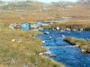 Little Gruinard River is prime habitat for juvenile [click to enlarge]