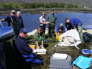 Sea trout processing team by the River Kanaird on 5th June 2012
