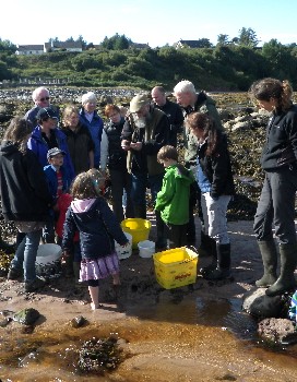 Countryside rangers organised a successful Highland Seashore day at Laide in September 2013