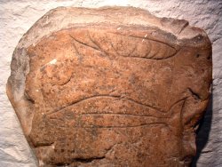 Pictish fish stone