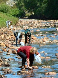 Stocking salmon fry into the River Bruachaig