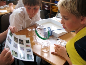 Identifying invertebrates