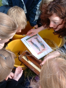 Wee hands and wee fish