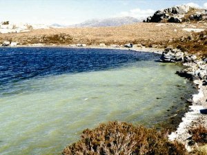 Algal bloom in Loch Tollie (James Butler)