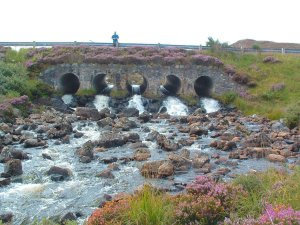 Road culvert near Second Coast which is impassable to fish migrating upstream