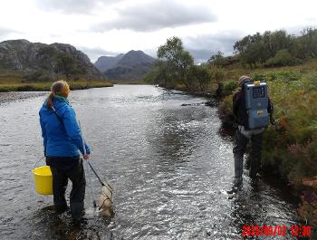 Surveying juvenile fish in the Gruinard River on 2nd September 2025 