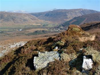 Raptor perch, thickly-vegetated biodiversity hotspot, Beinn Eighe NNR, overlooking Kinlochewe