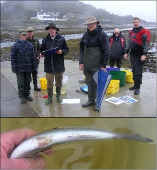 The sweep netting team and one of the sea trout at Flowerdale on 27 April 2017