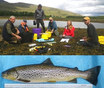 Mark, Jonathan, James, Nigel, Cal and Greg at the Kanaird on 10th June