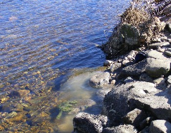 Waste water discharging into the Kinlochewe River from the treatment works nr Kinlochewe, April 2011